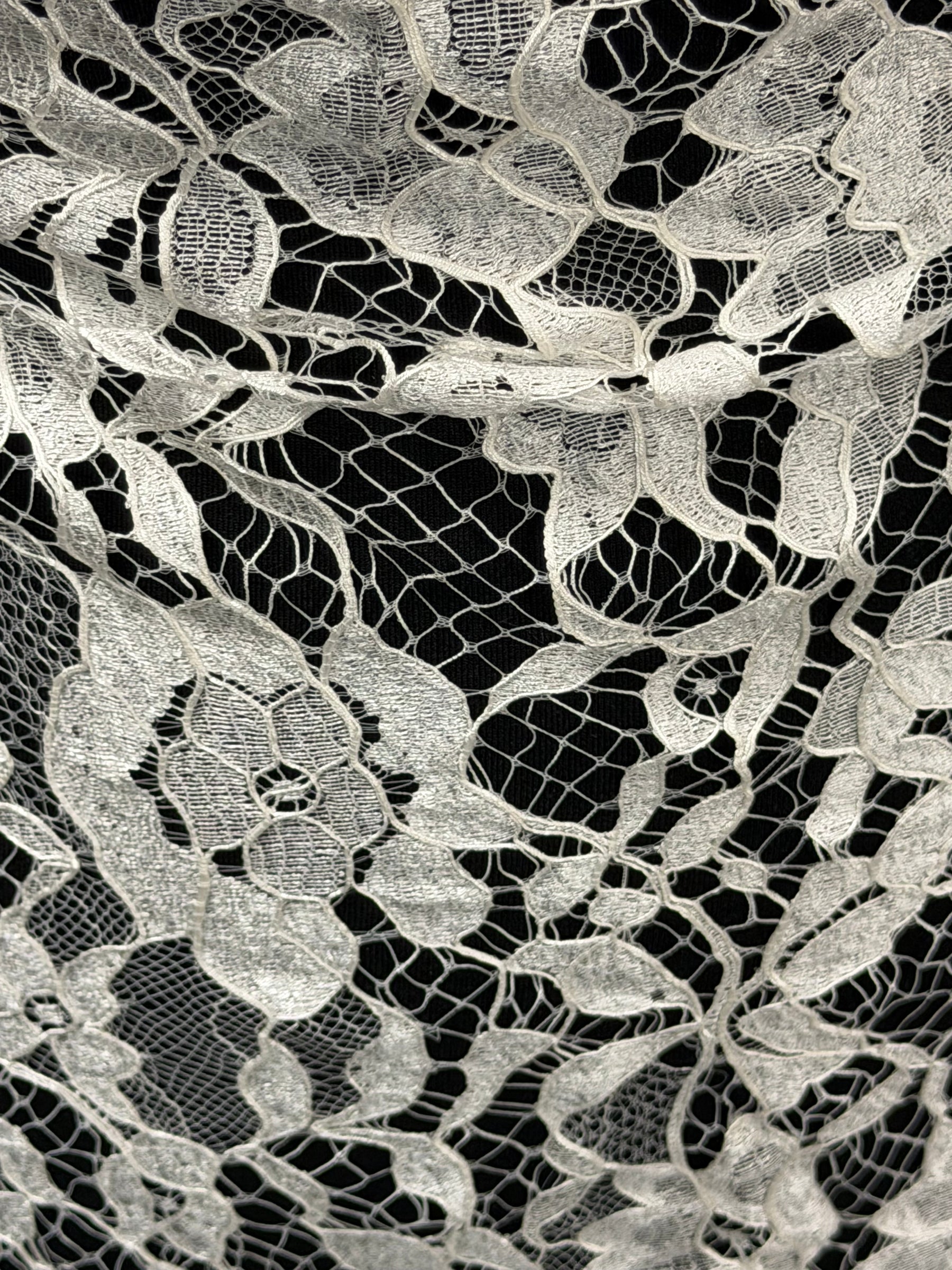 Ivory Corded Leavers Lace - P885