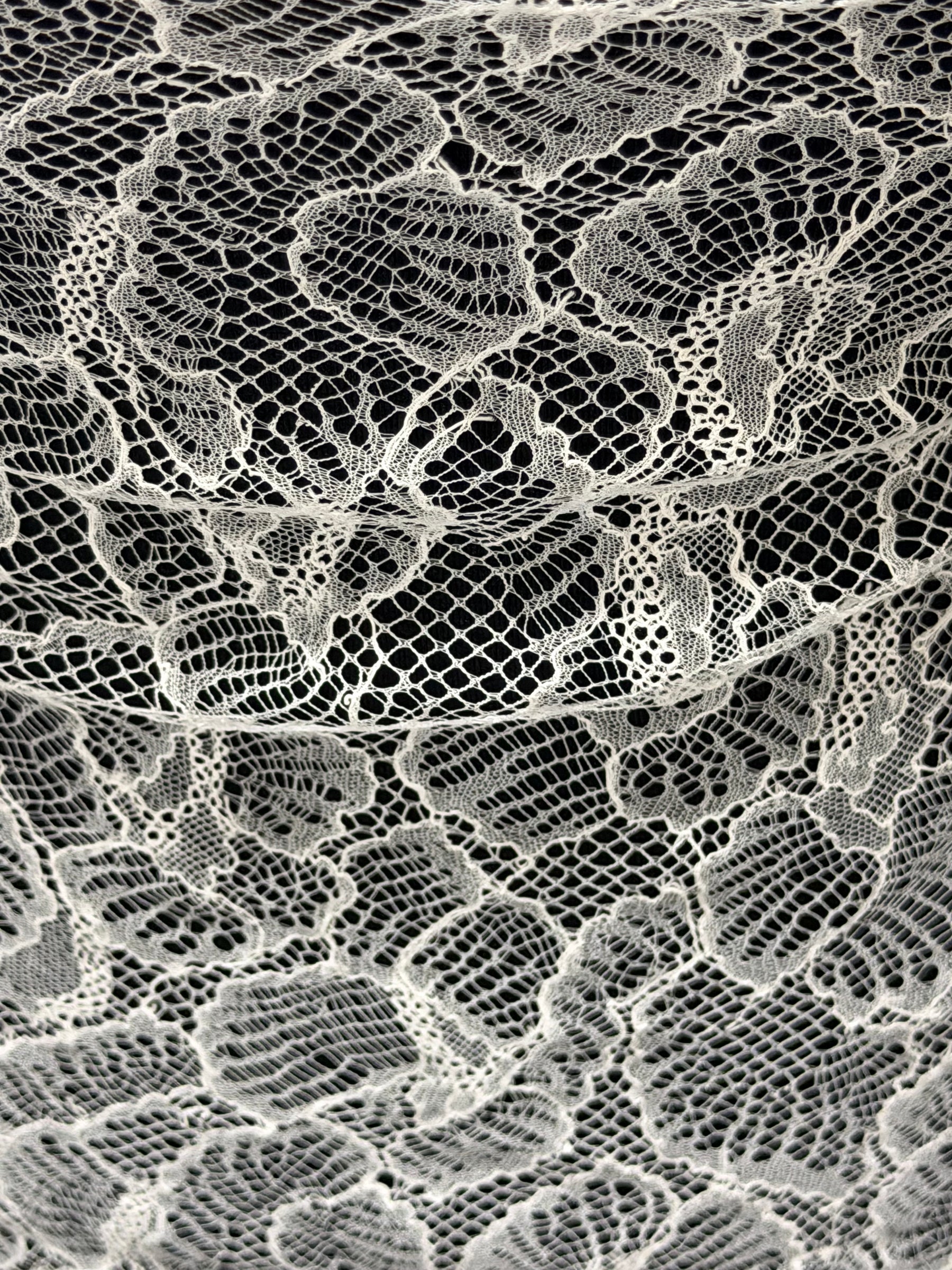 Dentelle française ivoire - LA2014