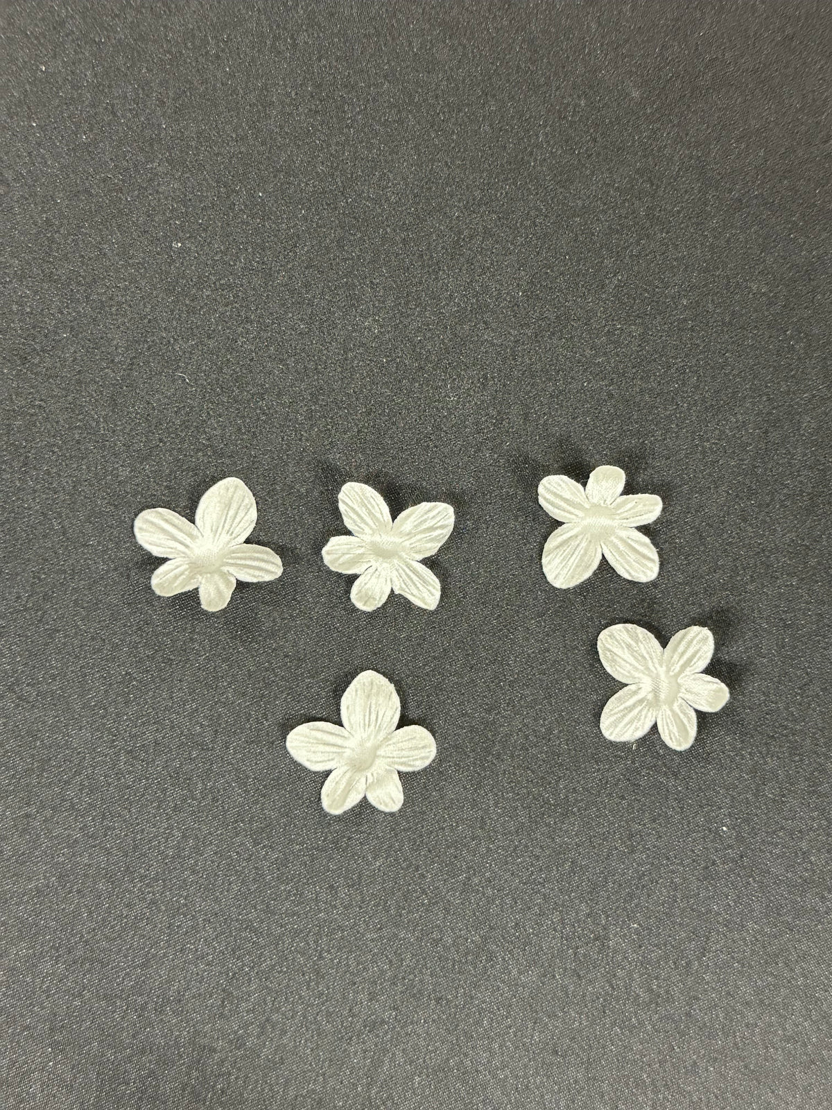 Fleurs ivoire à 5 pétales - MM0035 (Sachet de 144)