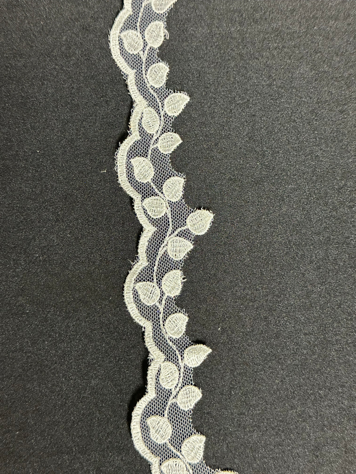 Bordure en dentelle florale brodée ivoire - T880