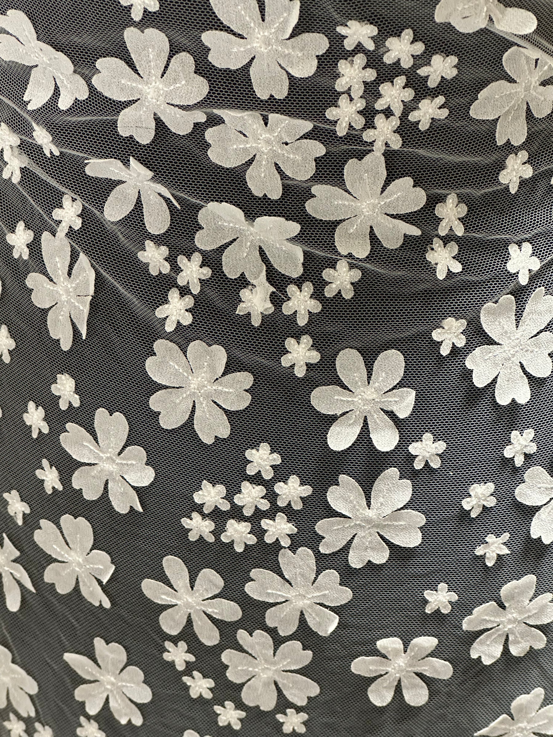 Dentelle brodée ivoire - EB5046