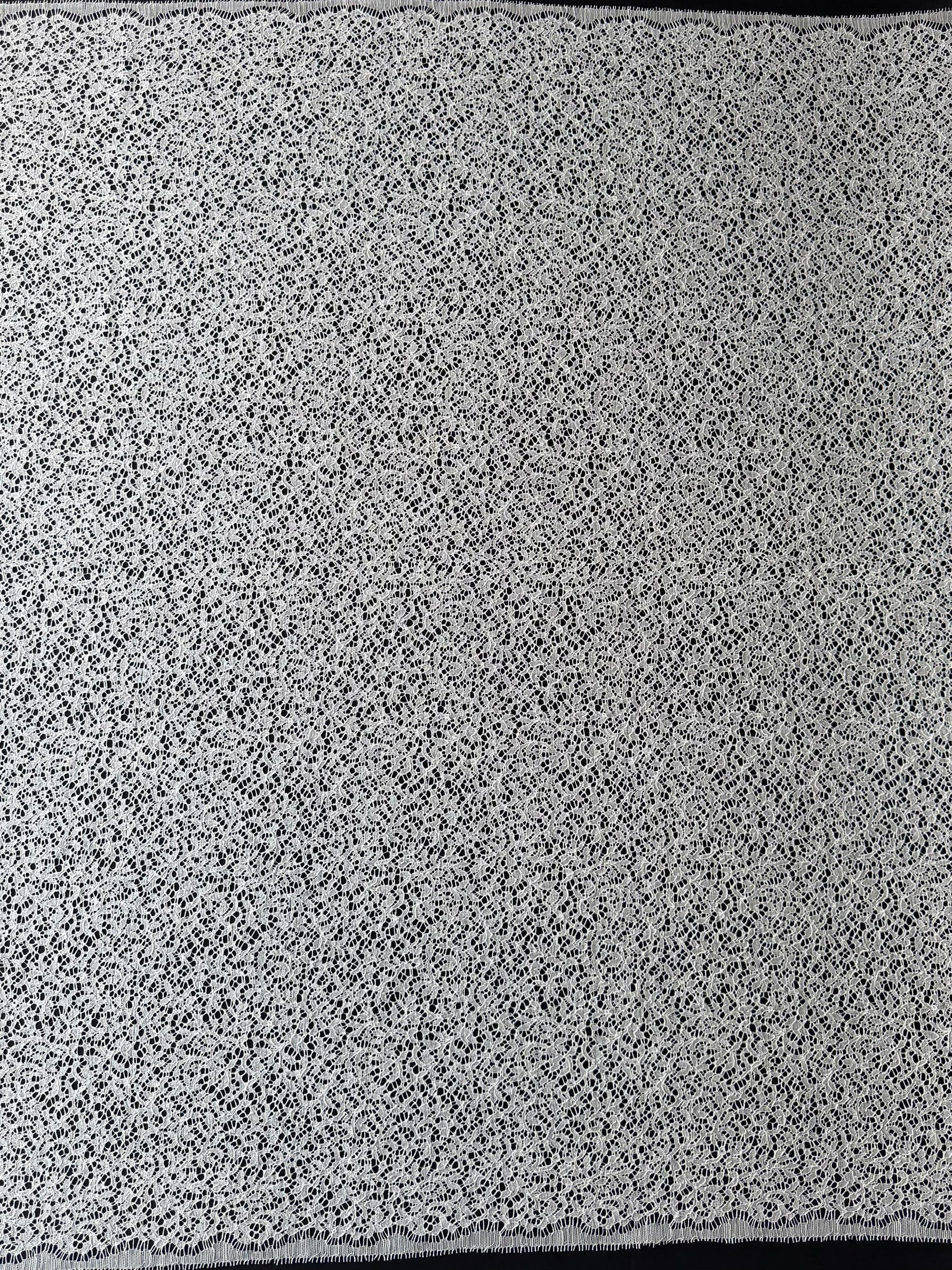 Dentelle française ivoire brodée - LA4005