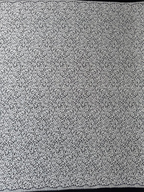 Dentelle française ivoire brodée - LA4005