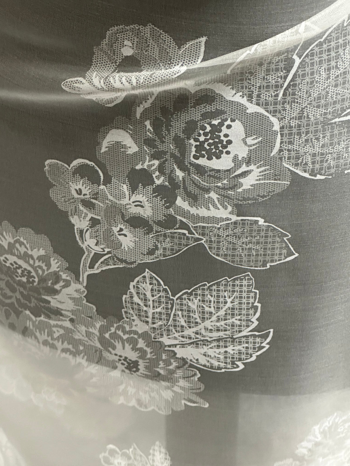 Organza de soie imprimé ivoire - PR2005