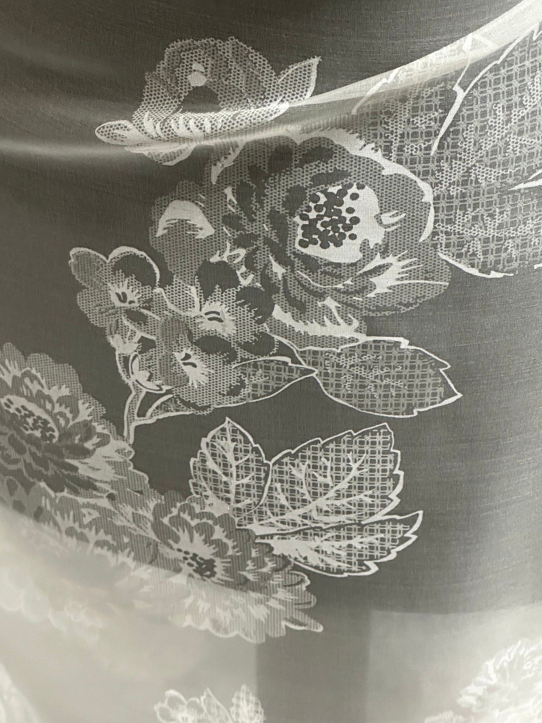 Organza de soie imprimé ivoire - PR2005