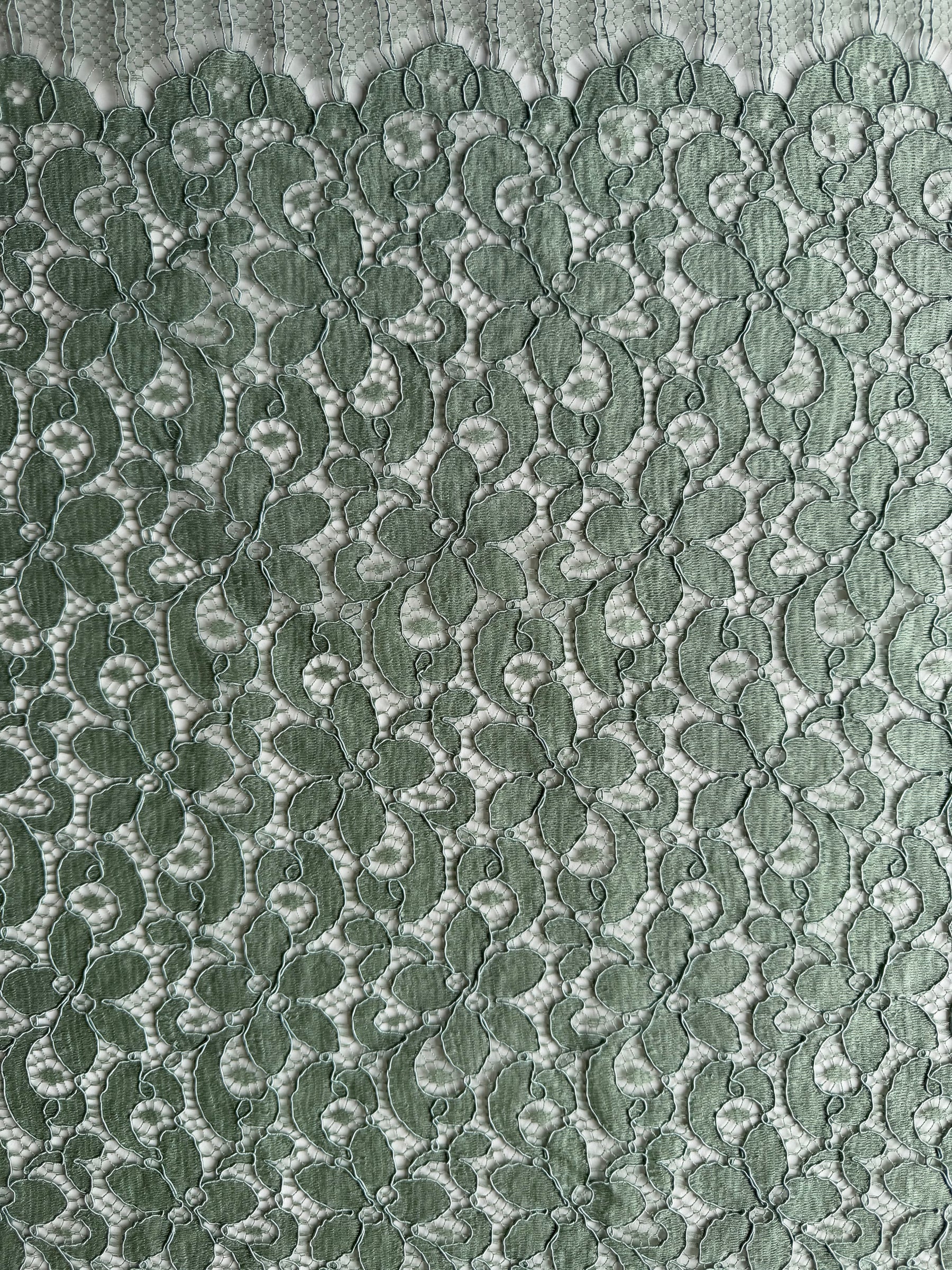 Dentelle française cordée vert péridot - LA4008
