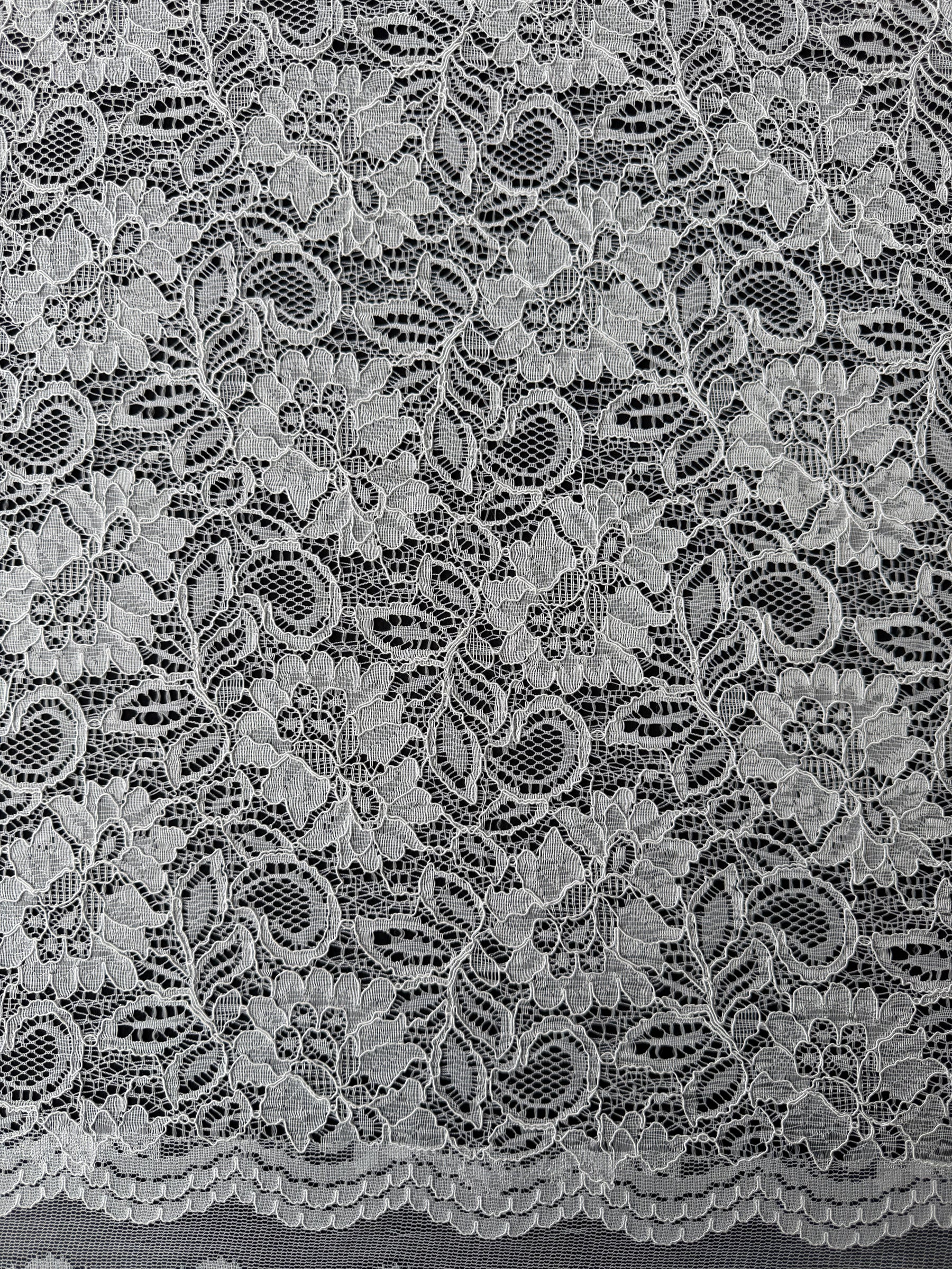 Dentelle cordée ivoire - Tocca