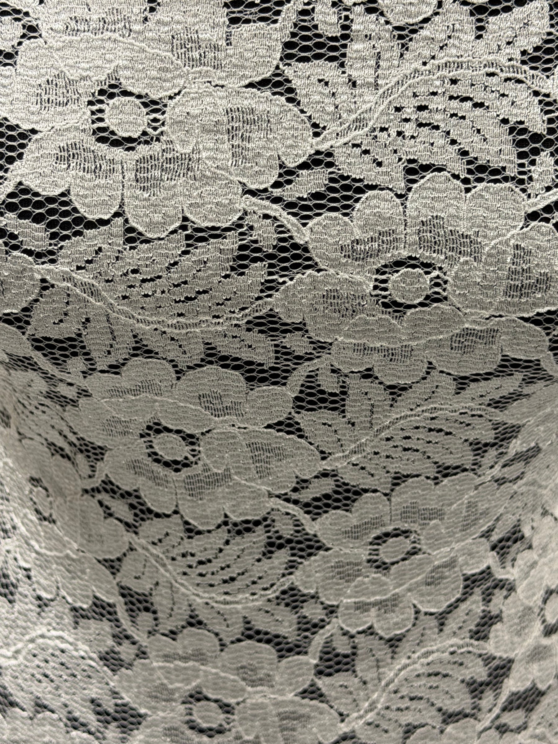 Dentelle florale ivoire pâle - P199