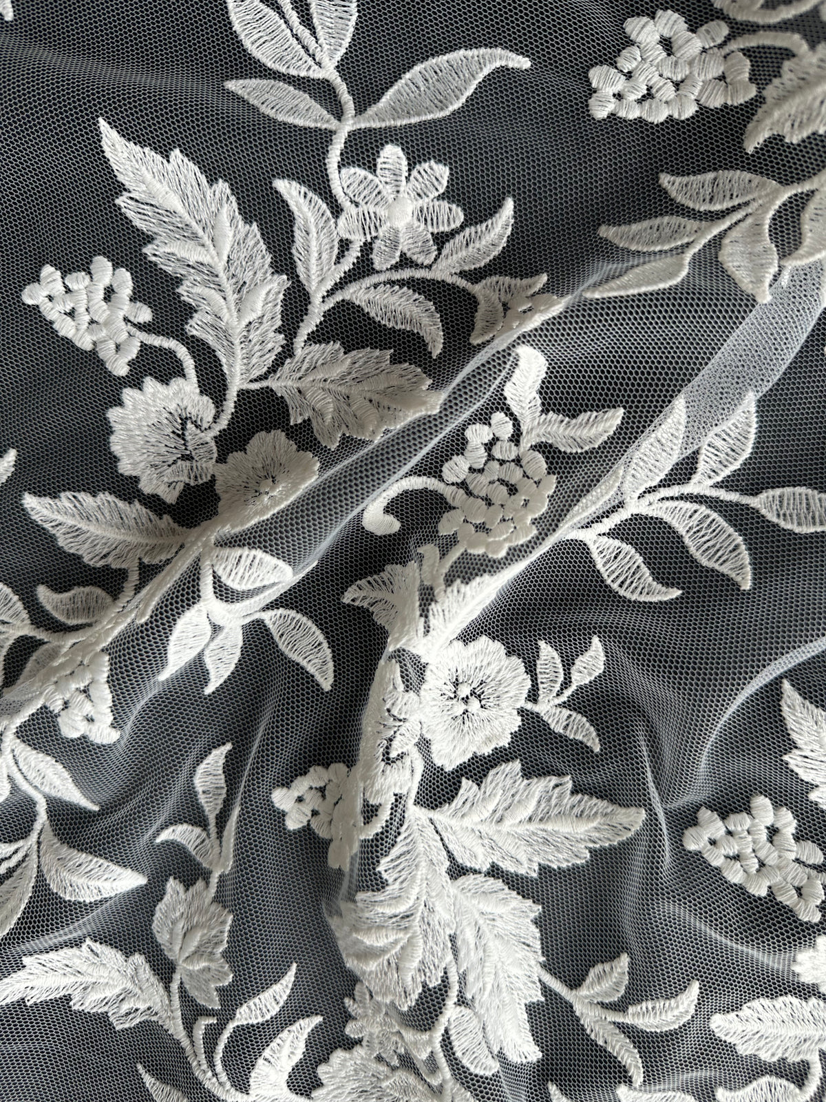 Dentelle brodée ivoire - EB5039