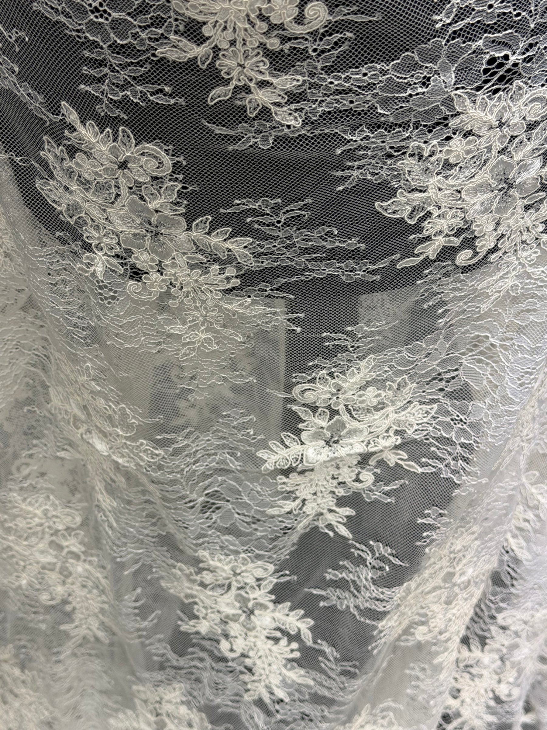 Dentelle Cordonnée Ivoire - P562