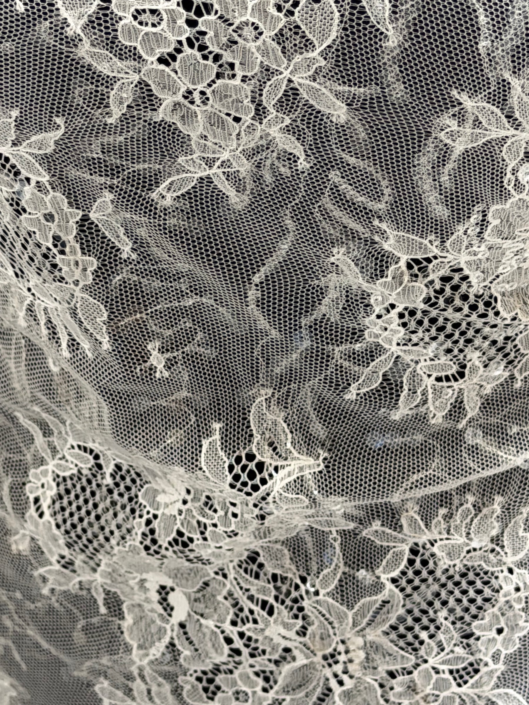 Dentelle Sequins Ivoire - LB6002