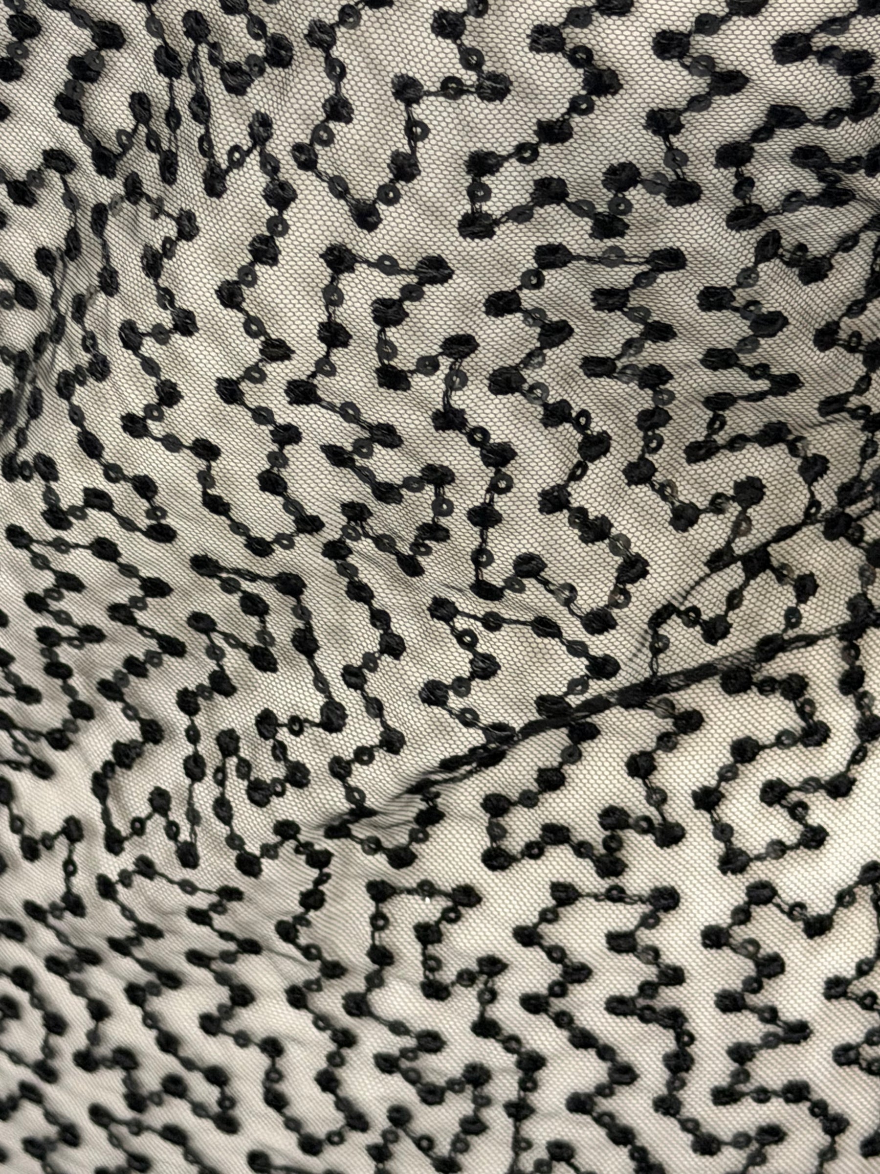 Dentelle brodée de sequins noirs - EB3029