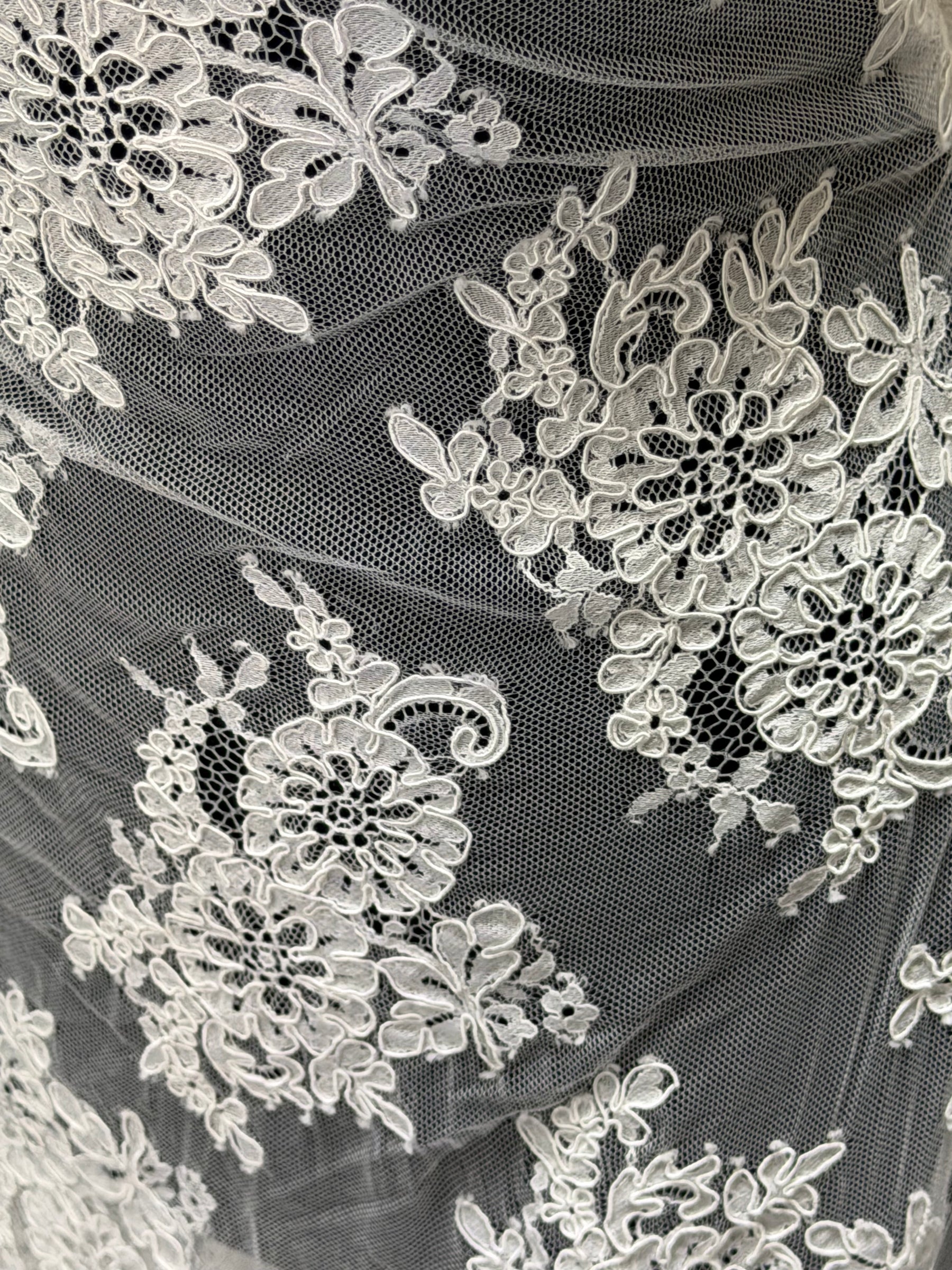 Dentelle Cordonnée Ivoire - P655