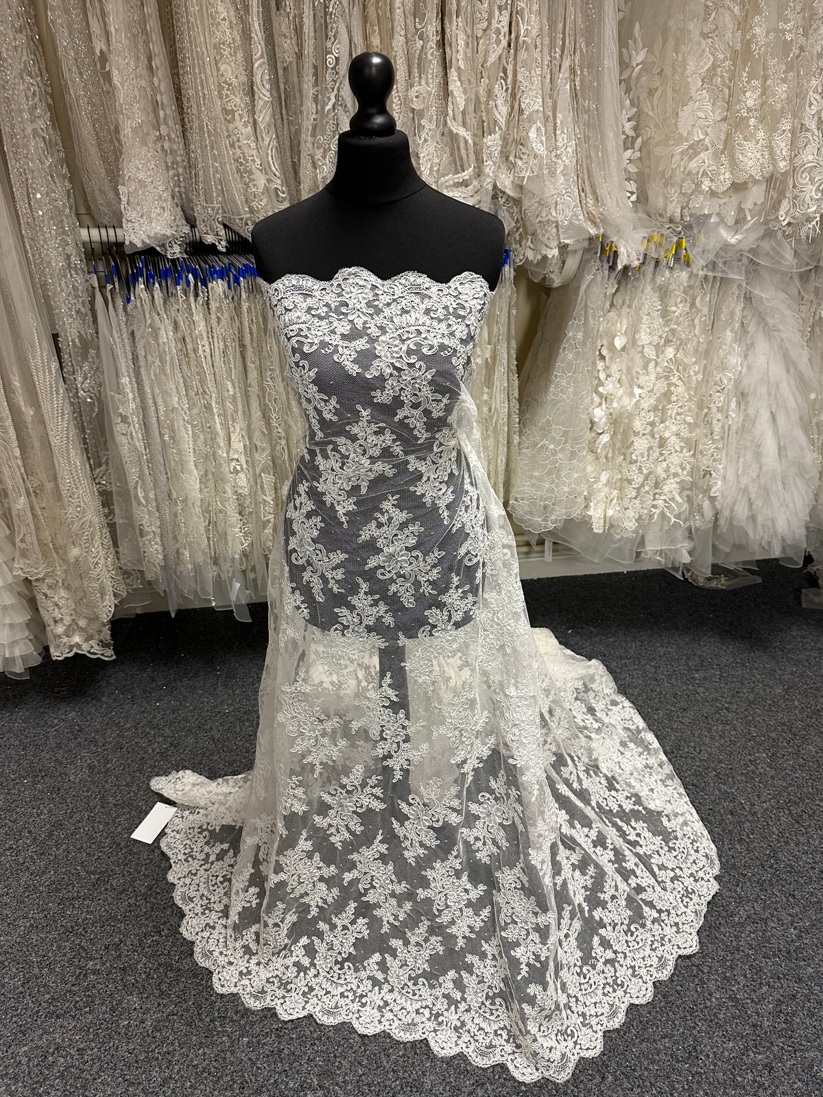 Ivory Corded Lace - P637