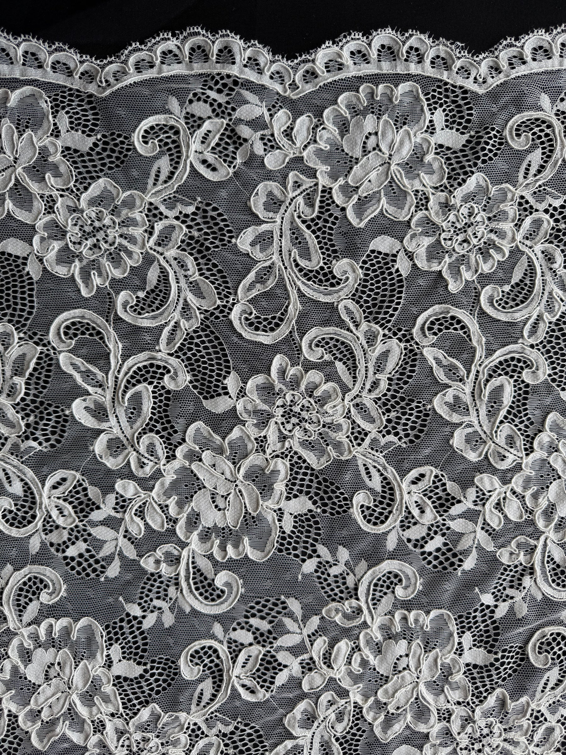 Dentelle cordée ivoire - P210