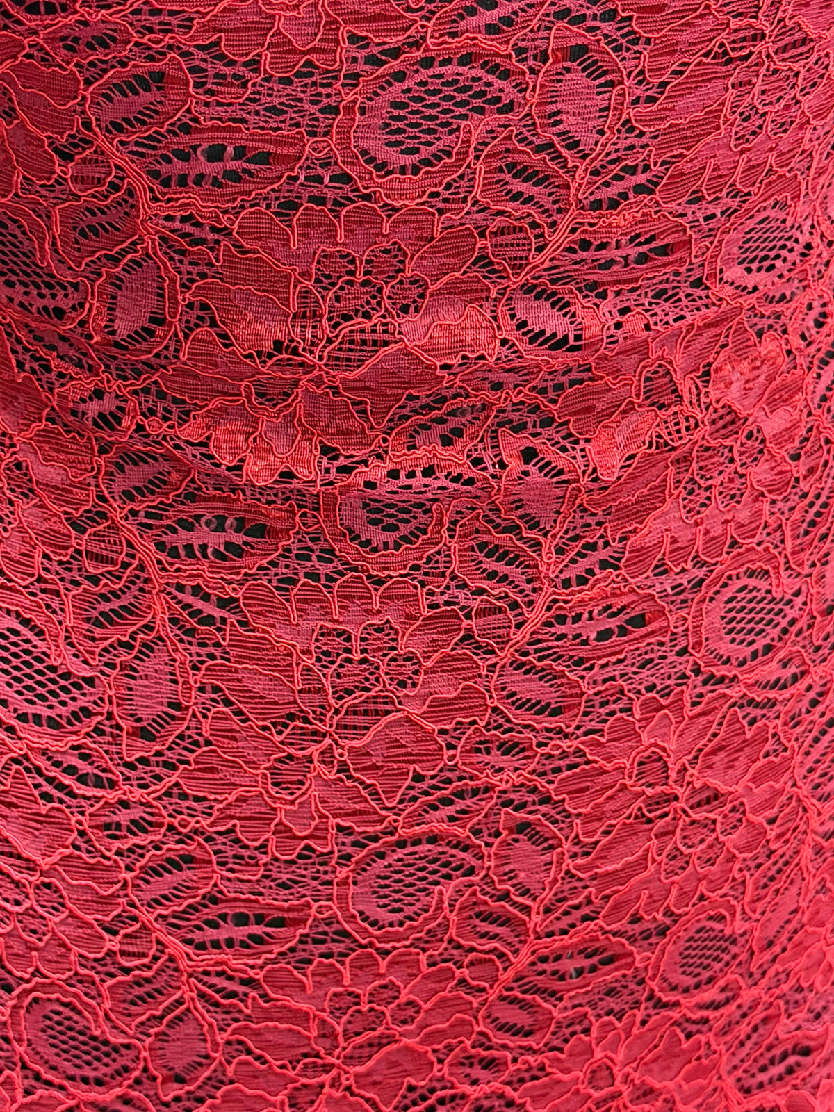 Dentelle écarlate à cordons - Tocca