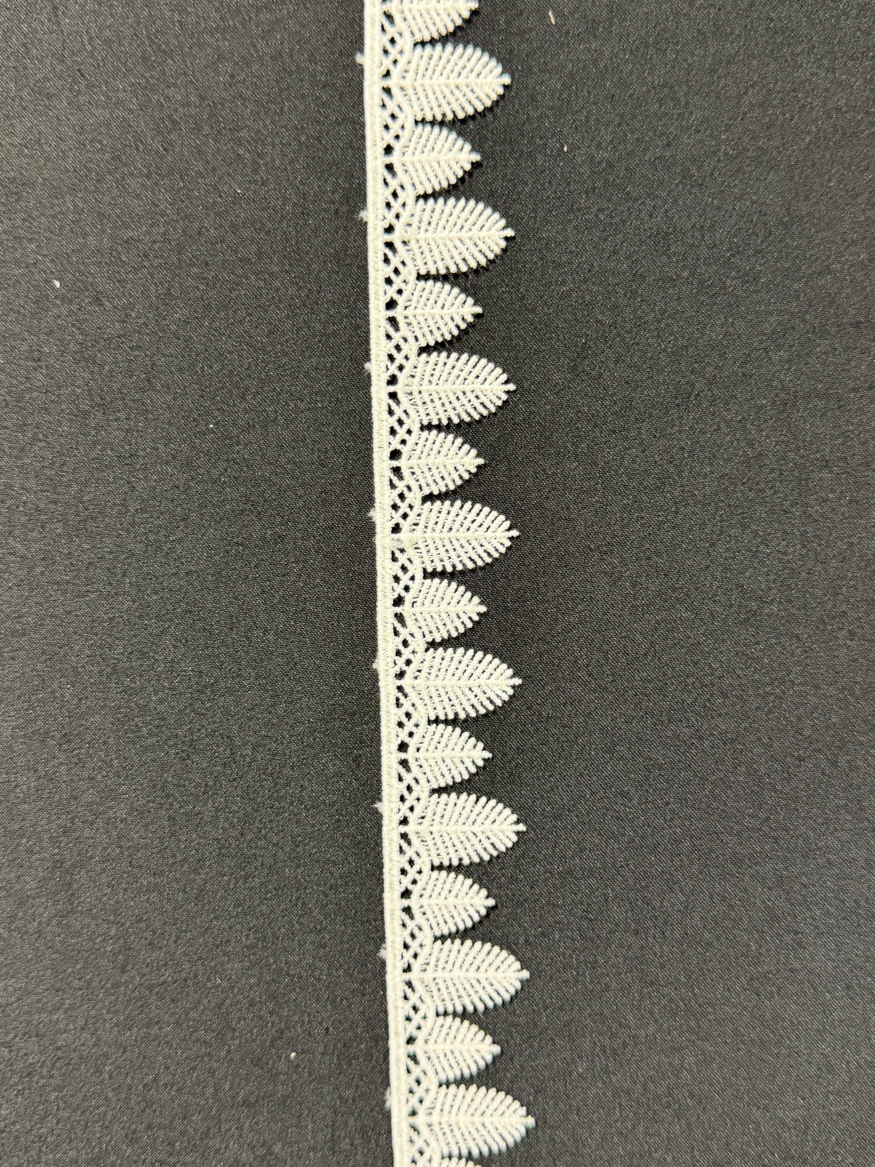 Bordure ivoire - EF4013