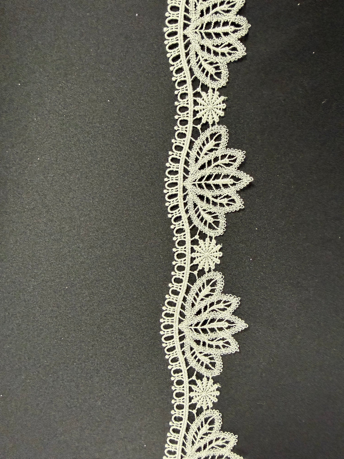 Bordure ivoire - EF4009