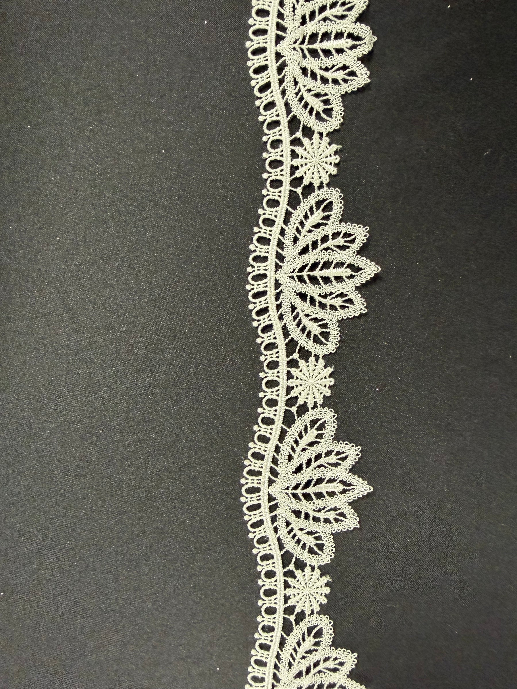 Bordure ivoire - EF4009