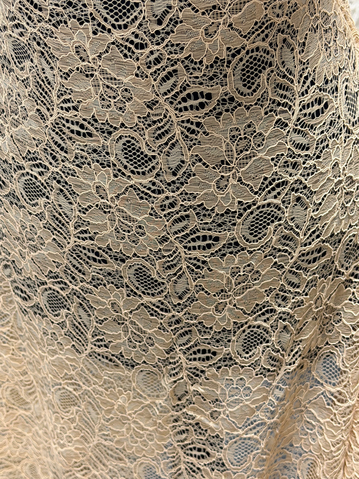 Dentelle cordée champagne - Tocca