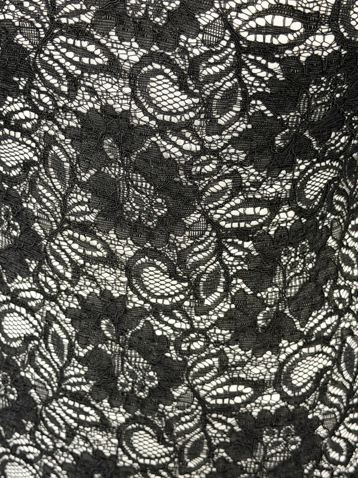 Dentelle noire cordée - Tocca