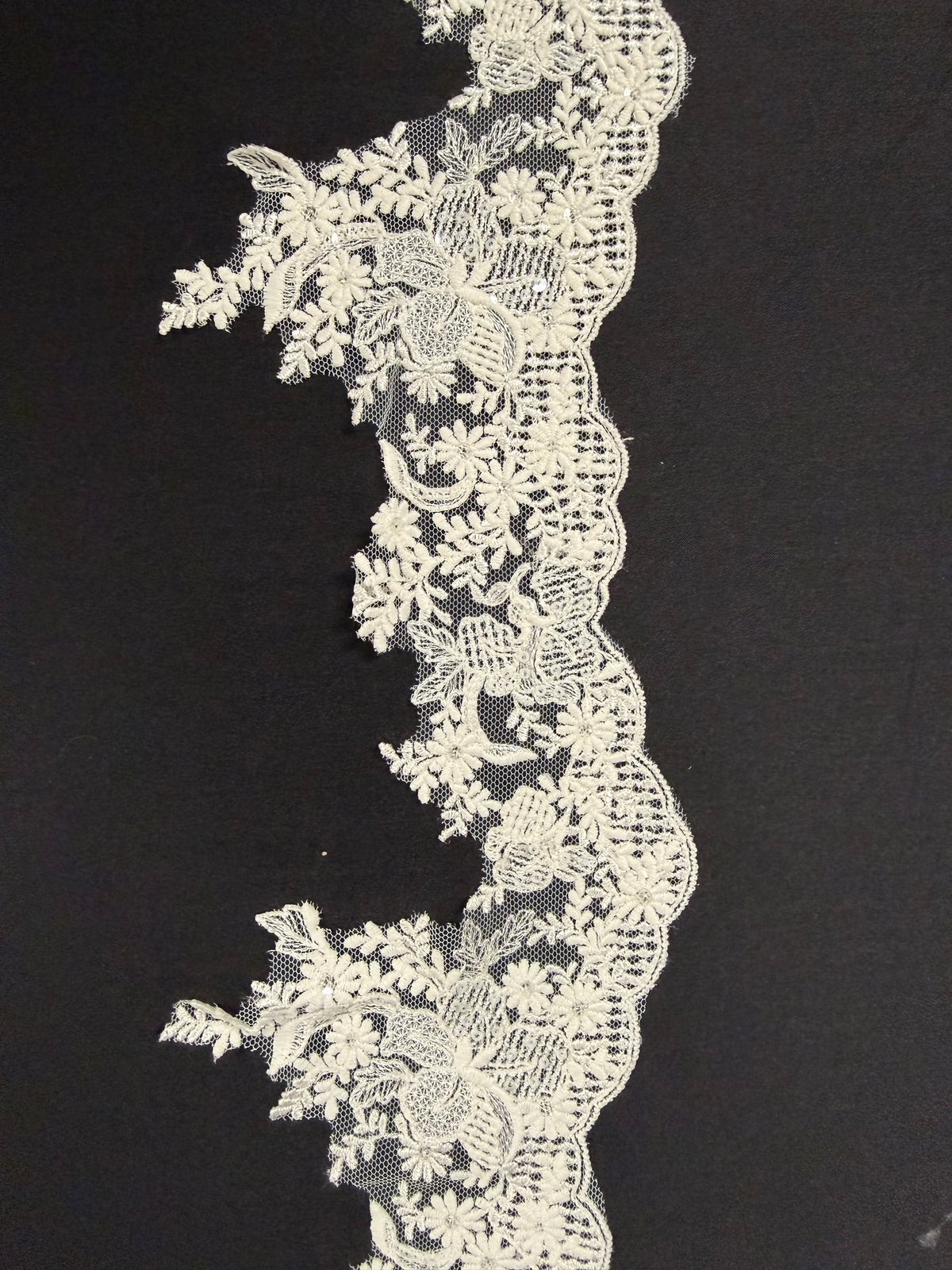 Bordure Ivoire Écologique à Paillettes - EF3002
