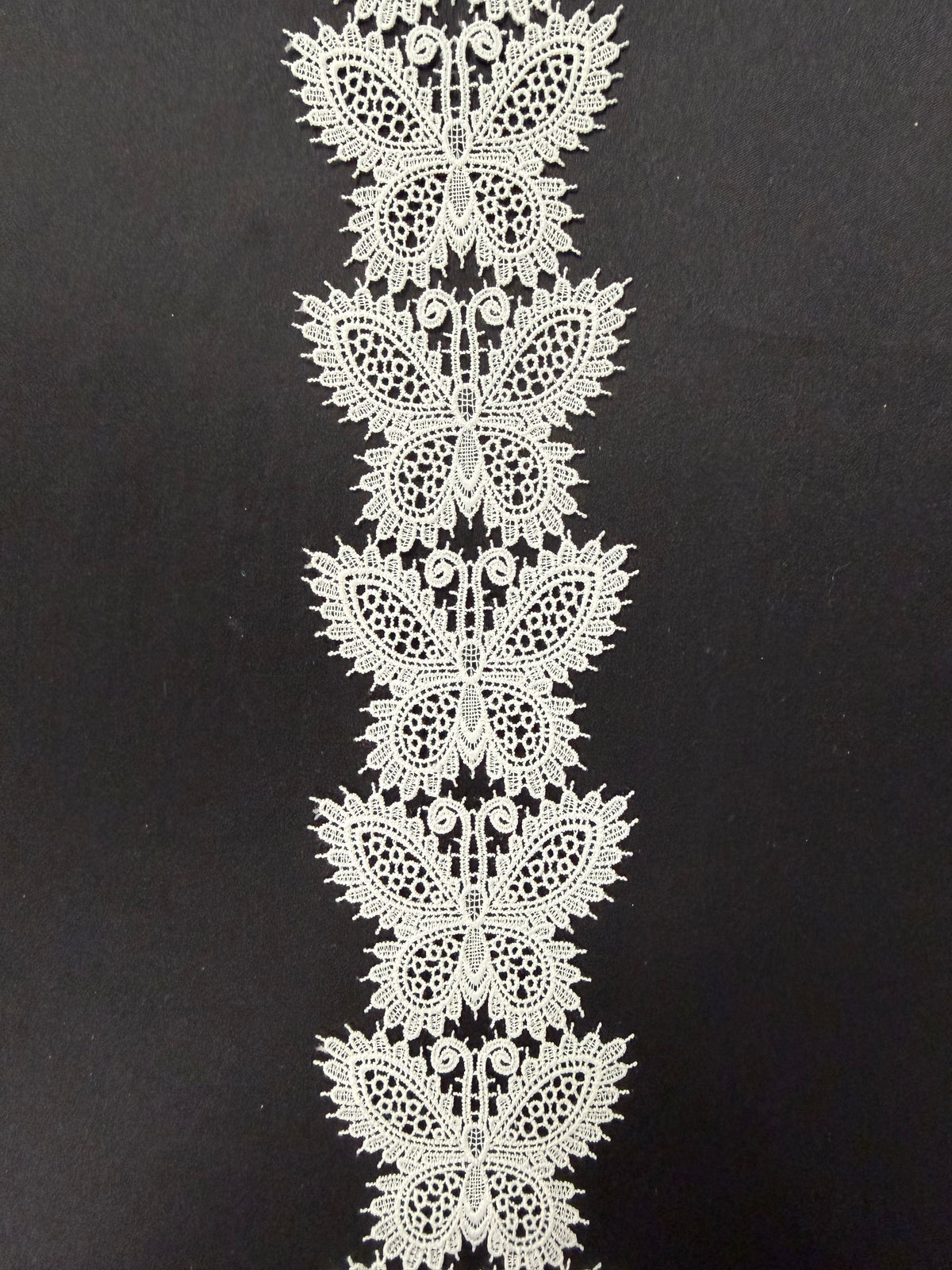 Bordure ivoire - EH4006