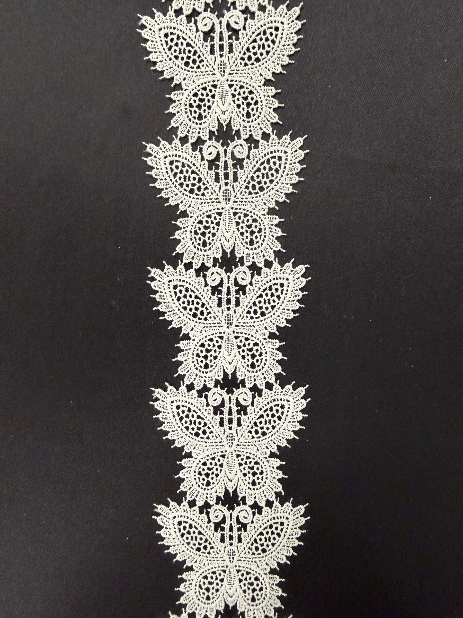 Bordure ivoire - EH4006
