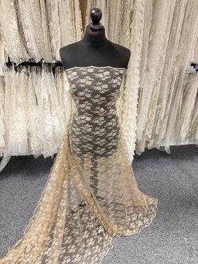 Dentelle Rachel Café - P856