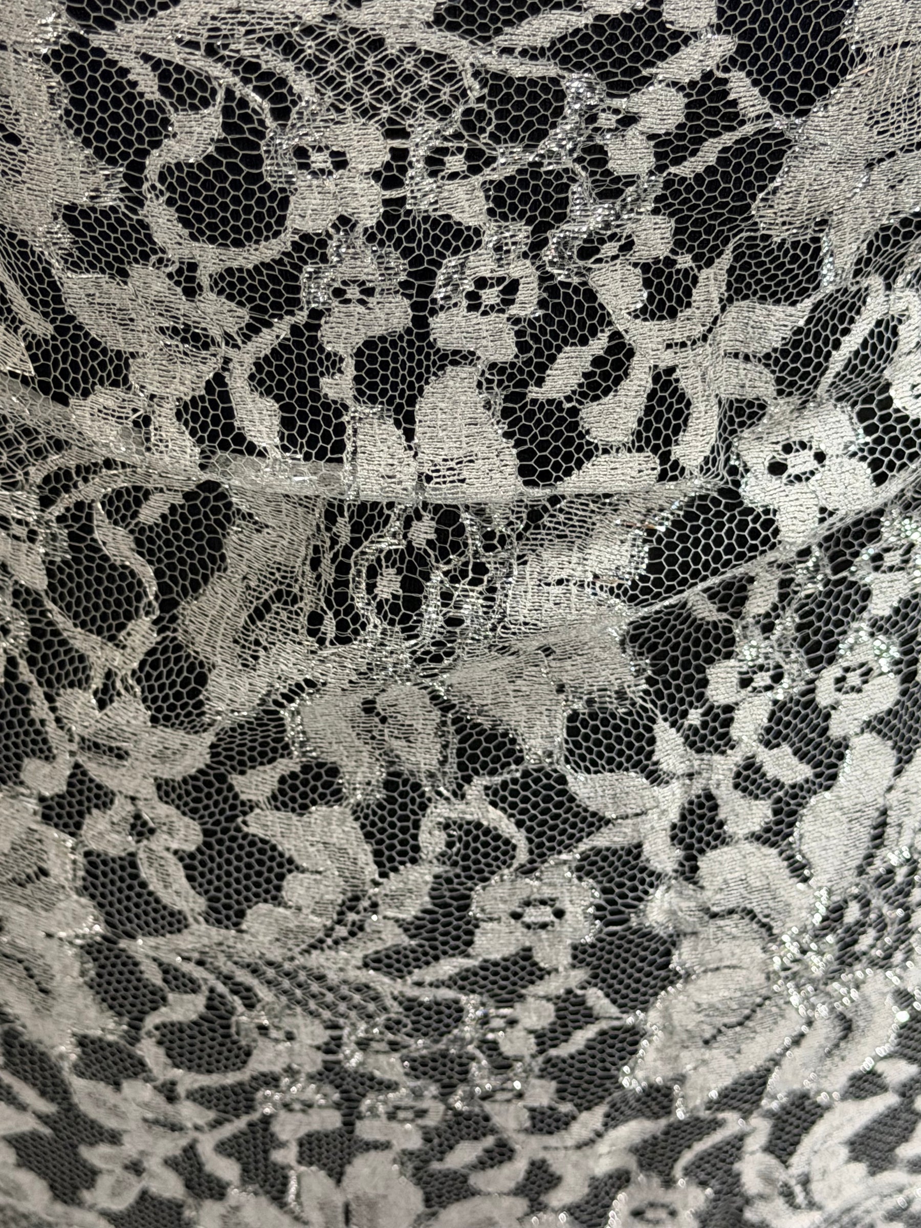Dentelle Chantilly Argent Métallisé - P184