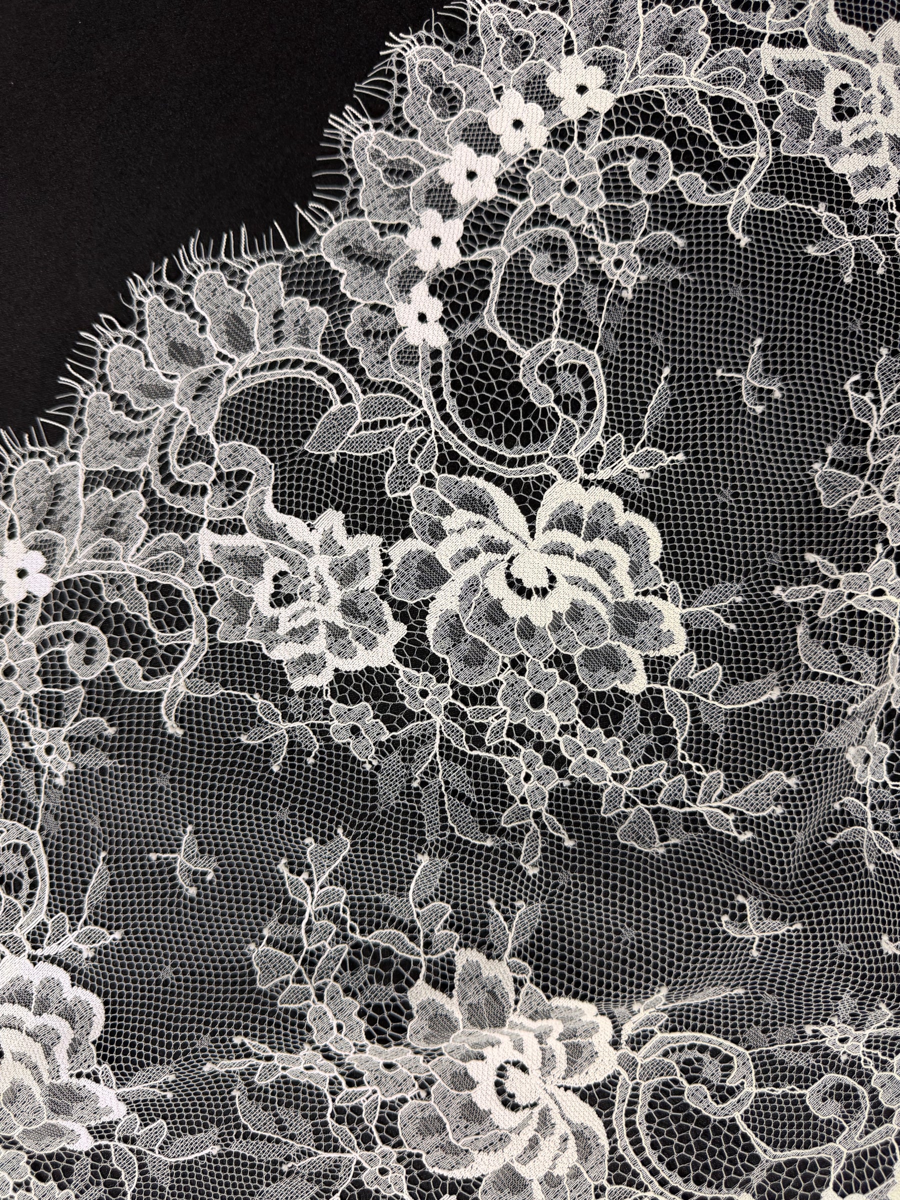 Ivory Lace Trim - Tomine