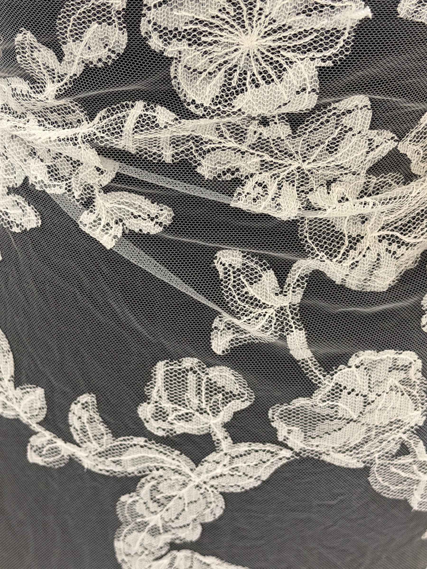 Dentelle brodée contemporaine ivoire - EB5041