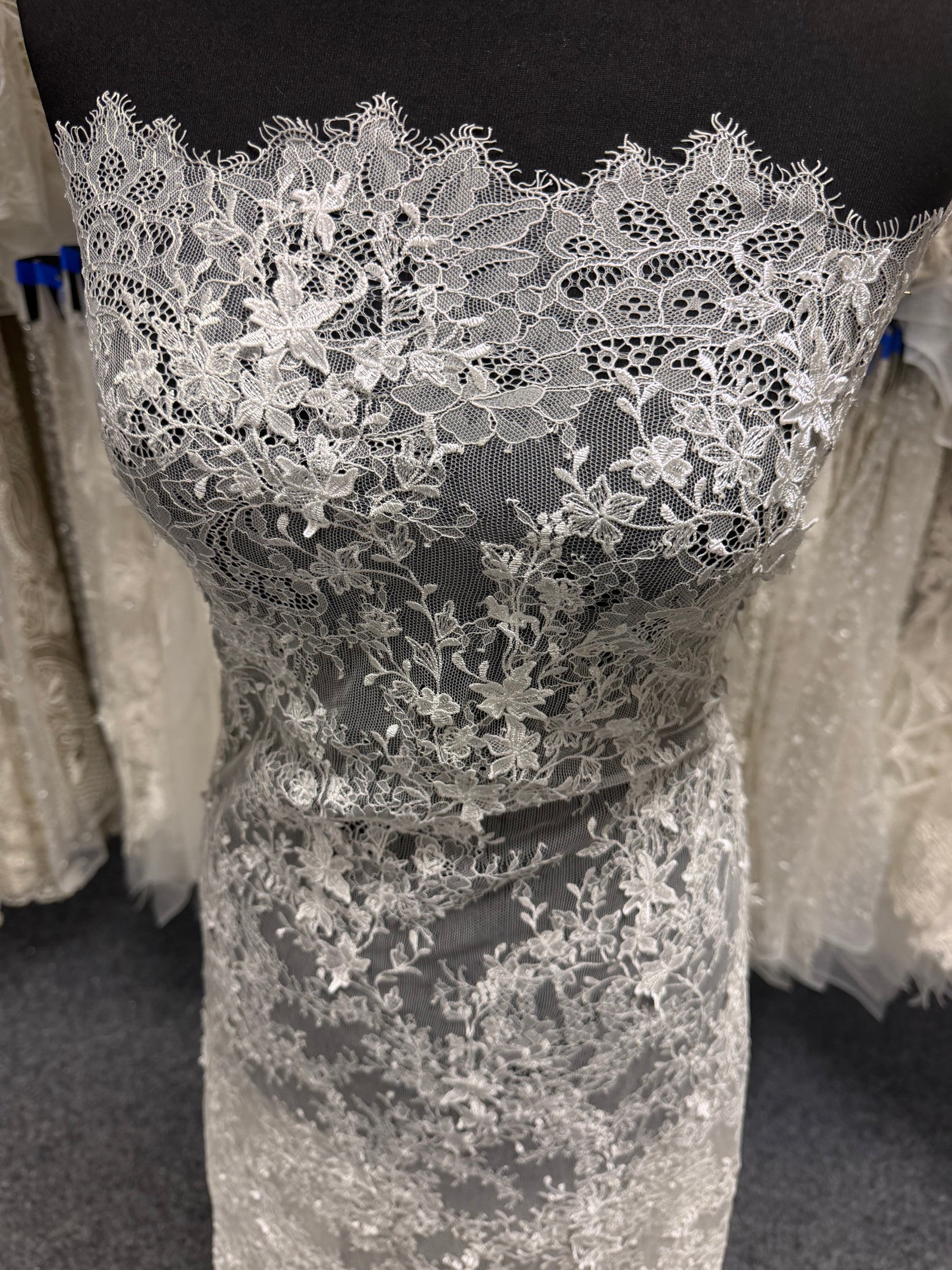 Dentelle brodée Ivoire foncé - P228