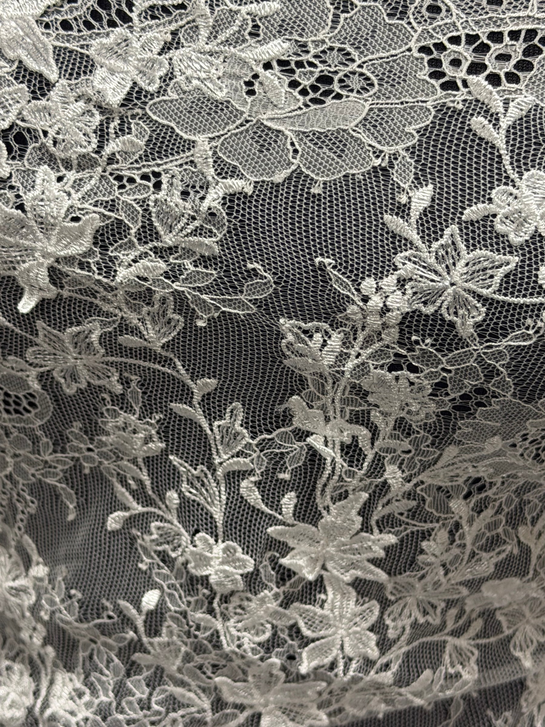 Dentelle brodée Ivoire foncé - P228