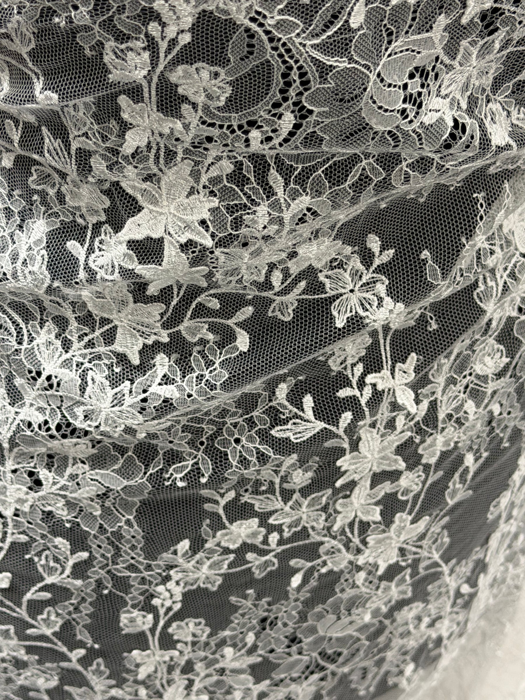 Dentelle brodée ivoire - P228