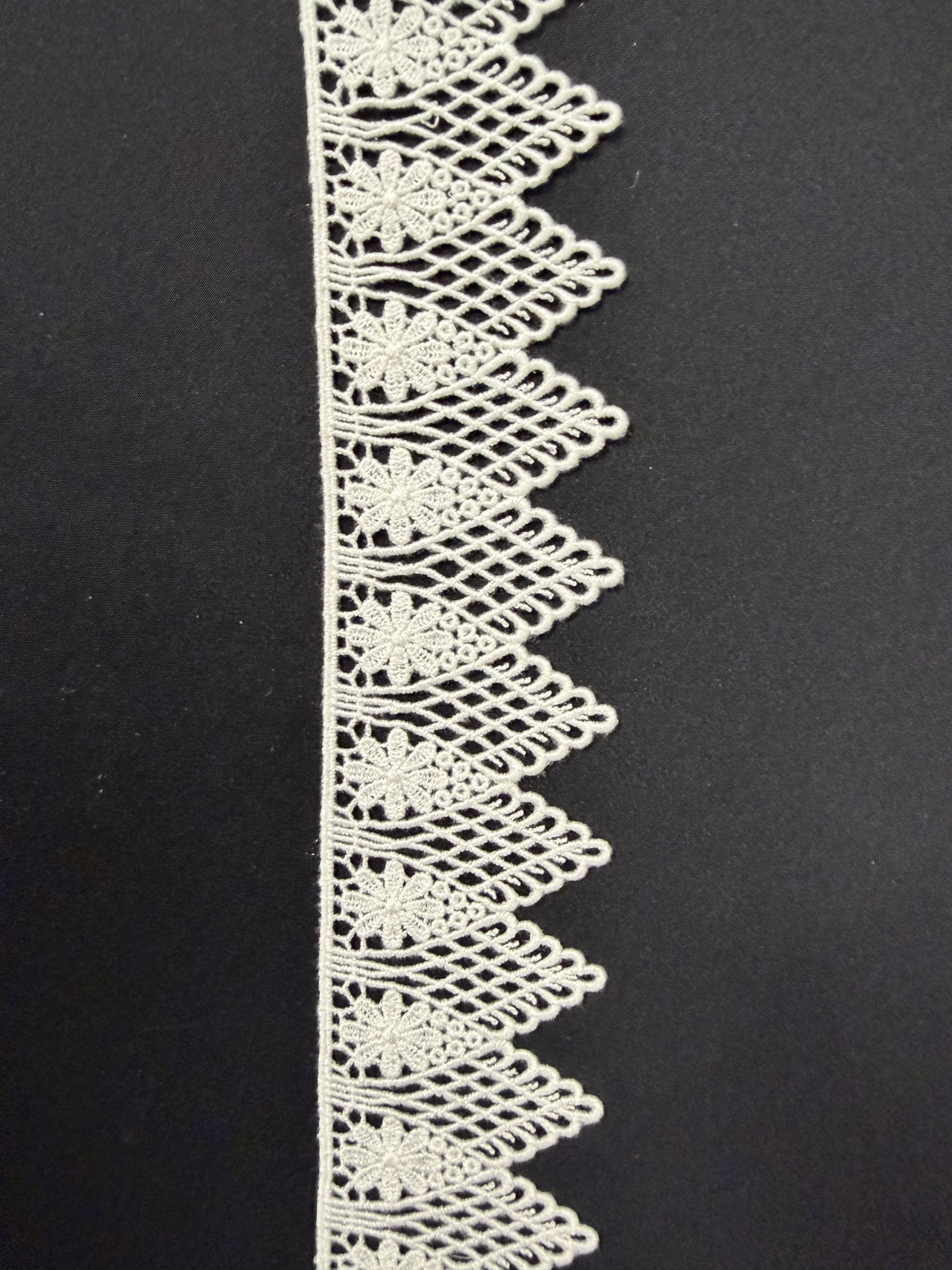 Bordure Guipure Ivoire - T959