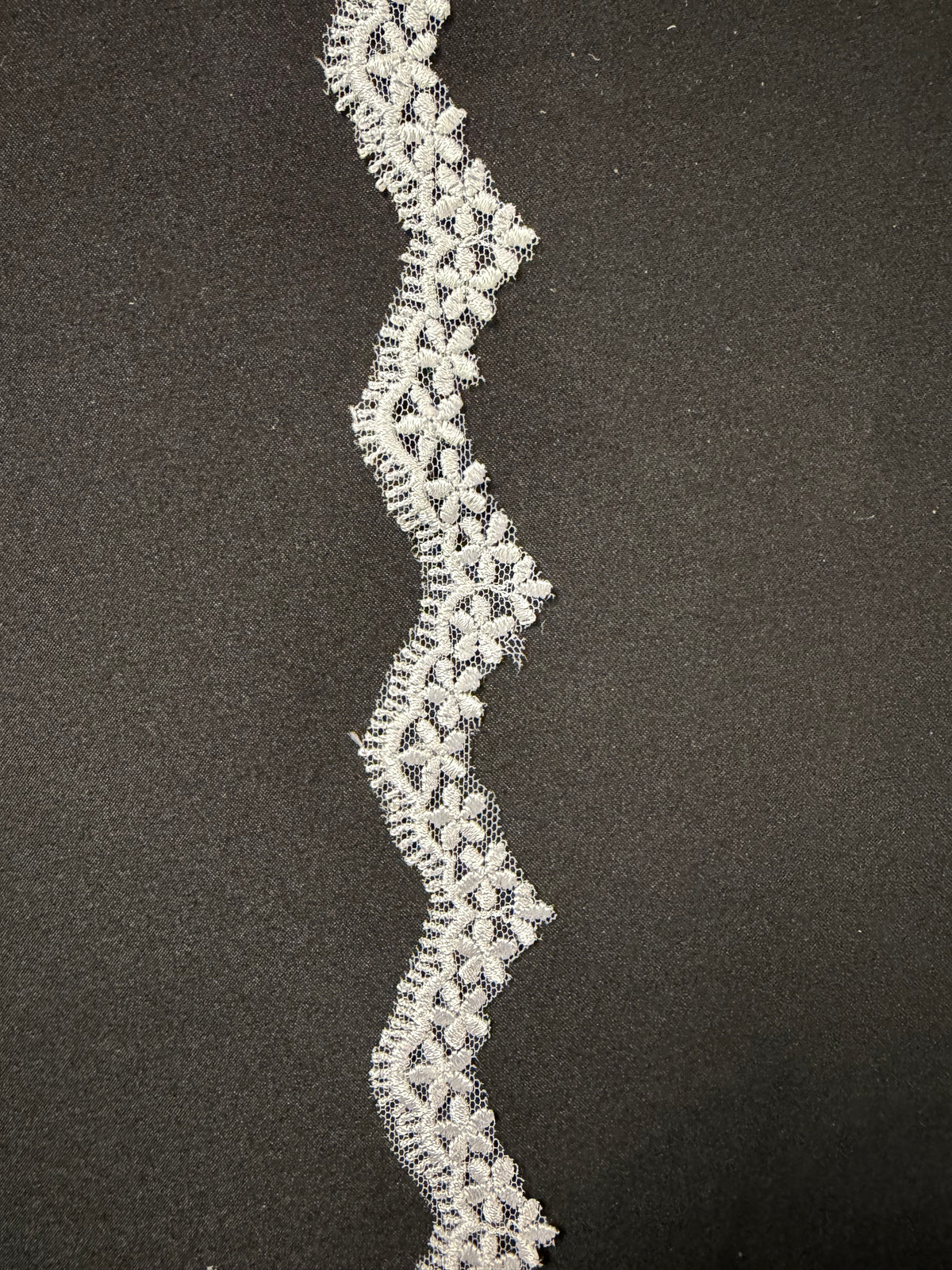 Galon de dentelle brodée blanche - T828