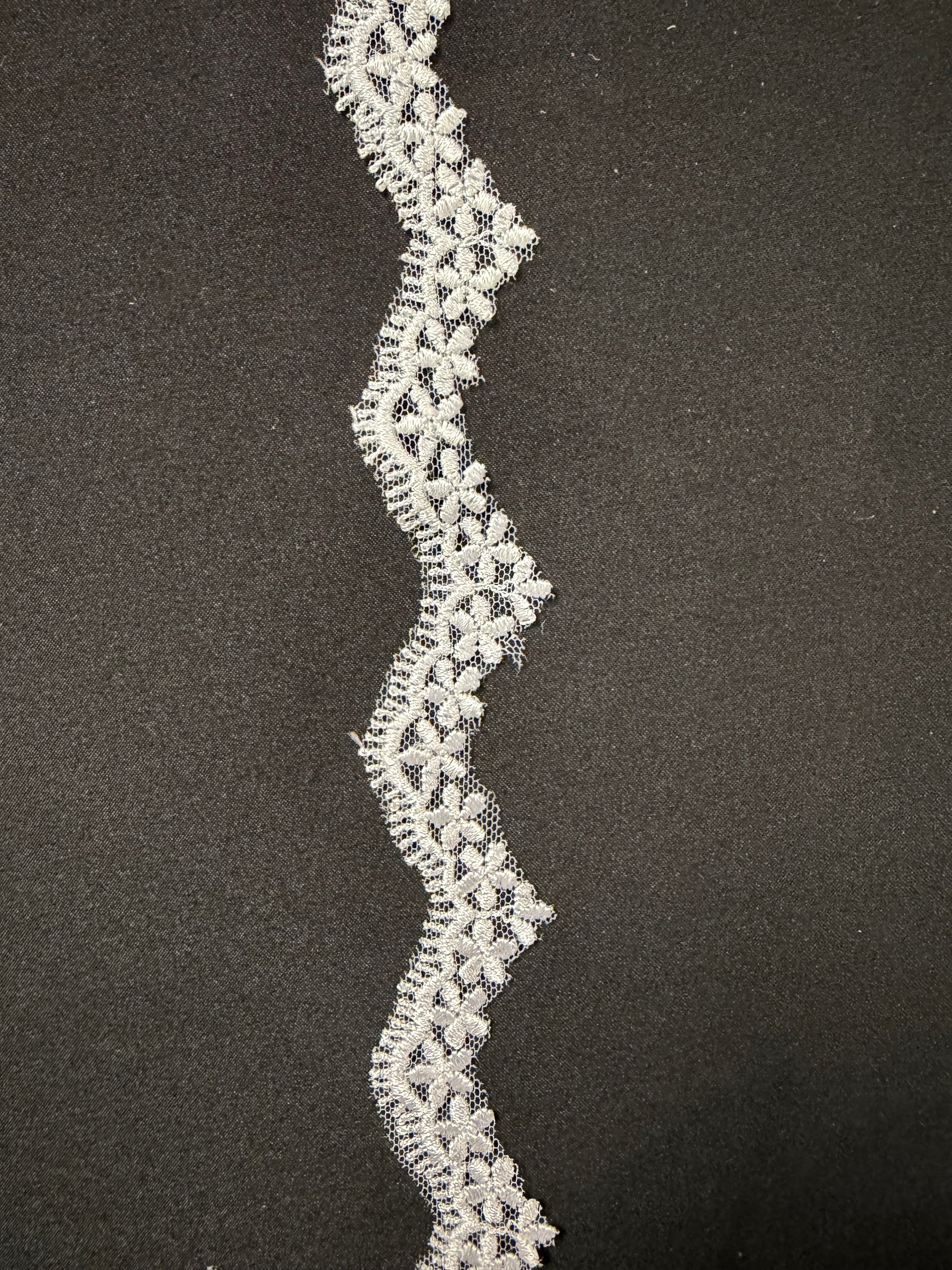 Galon de dentelle brodée blanche - T828