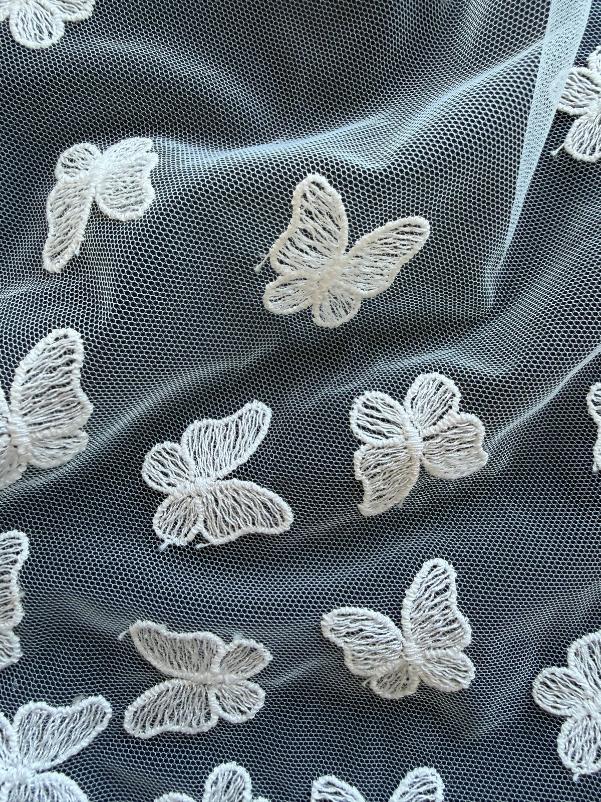 Dentelle Papillon Brodé Ivoire – EU5001