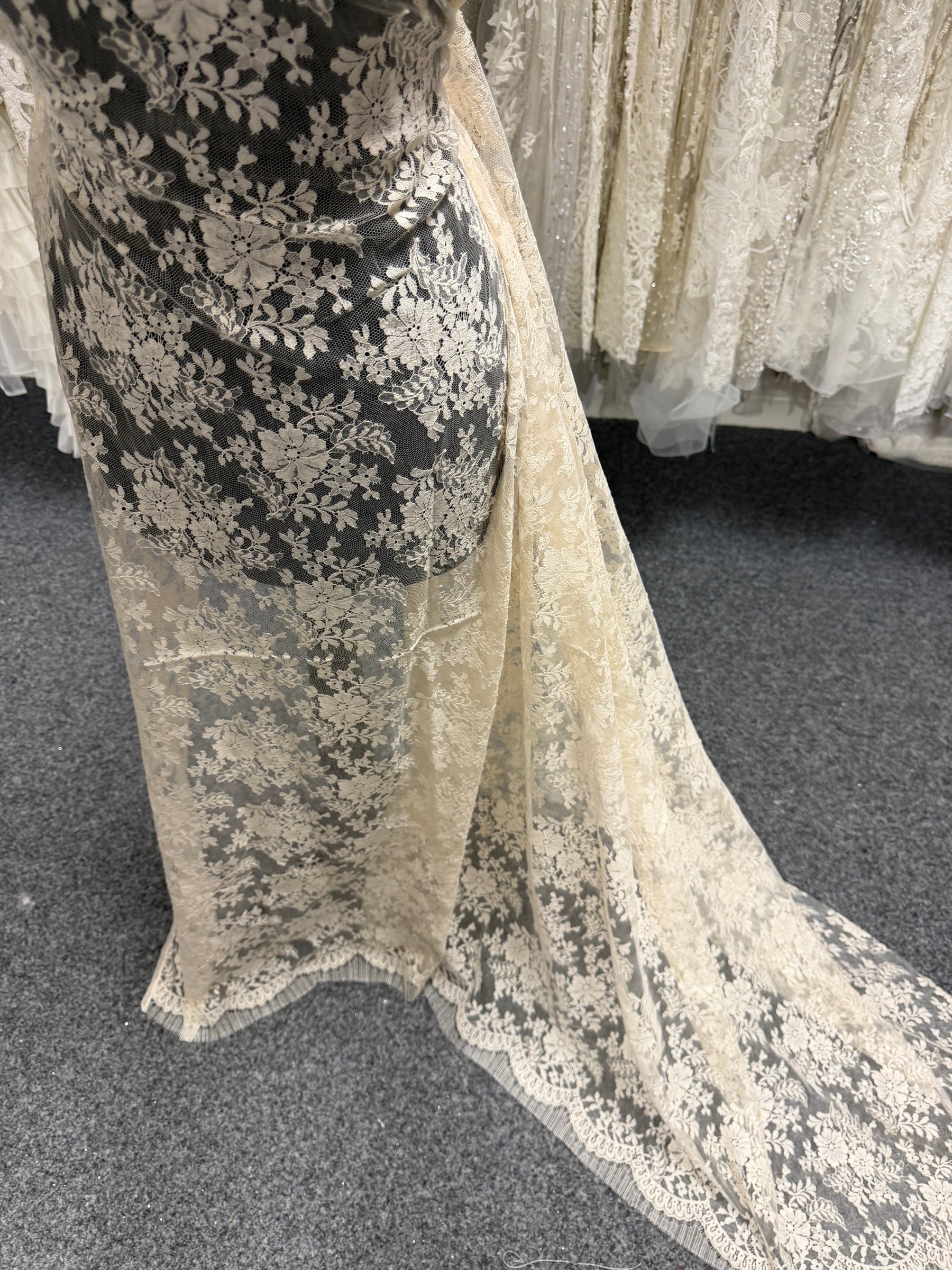 Champagne Beige Dentelle Chantilly - P294