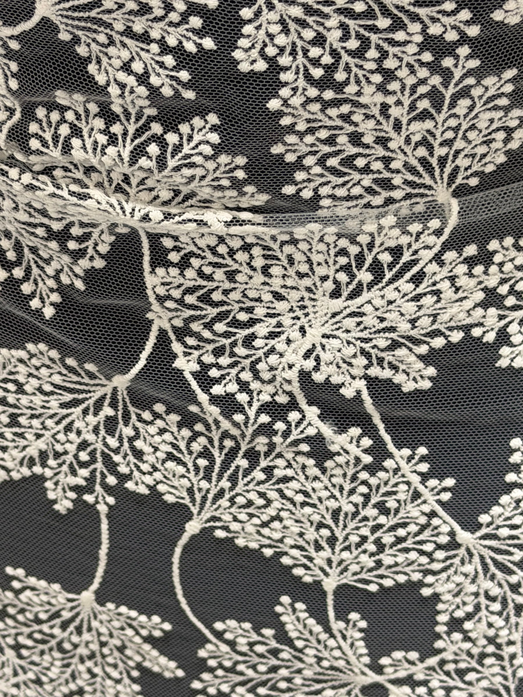 Dentelle brodée de fleurs ivoire - EB5037