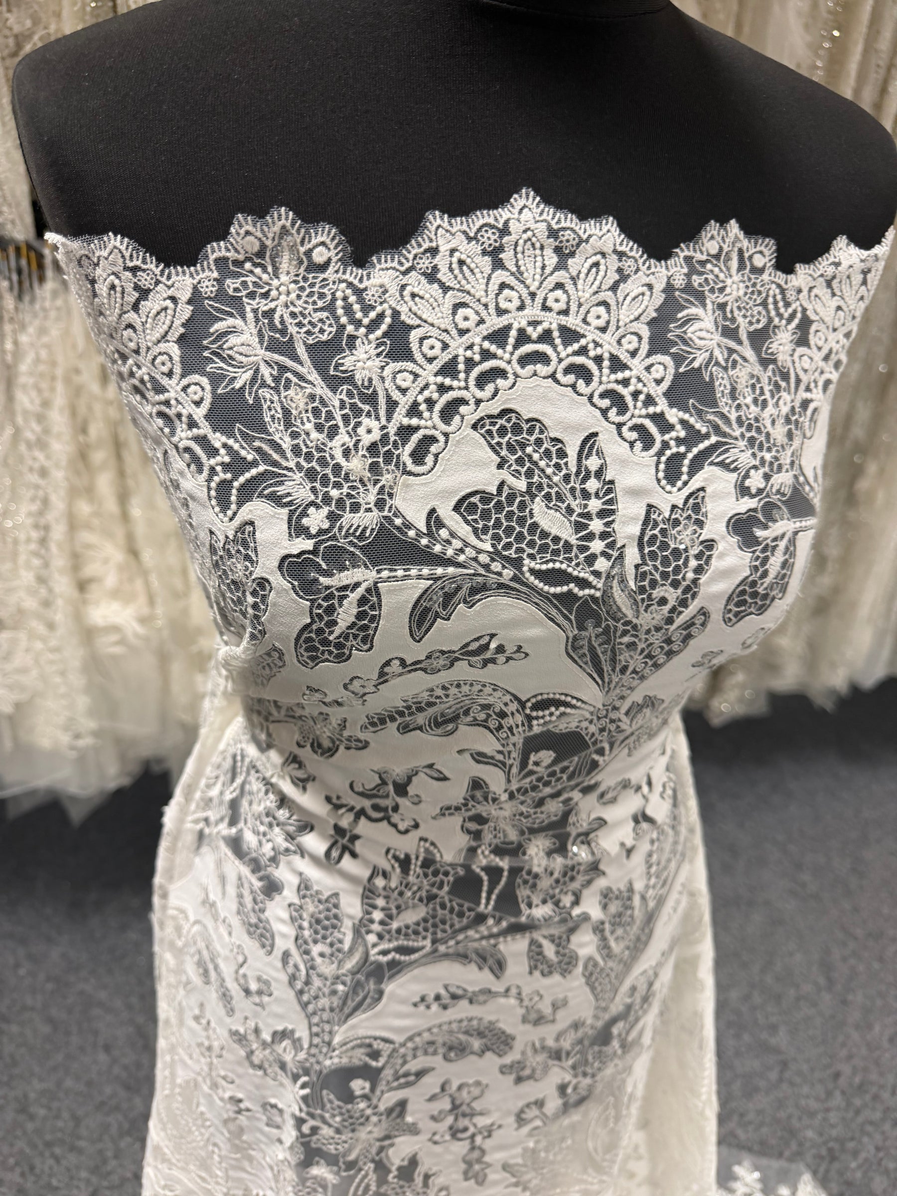 Dentelle brodée ornée de tissu ivoire - EB3039