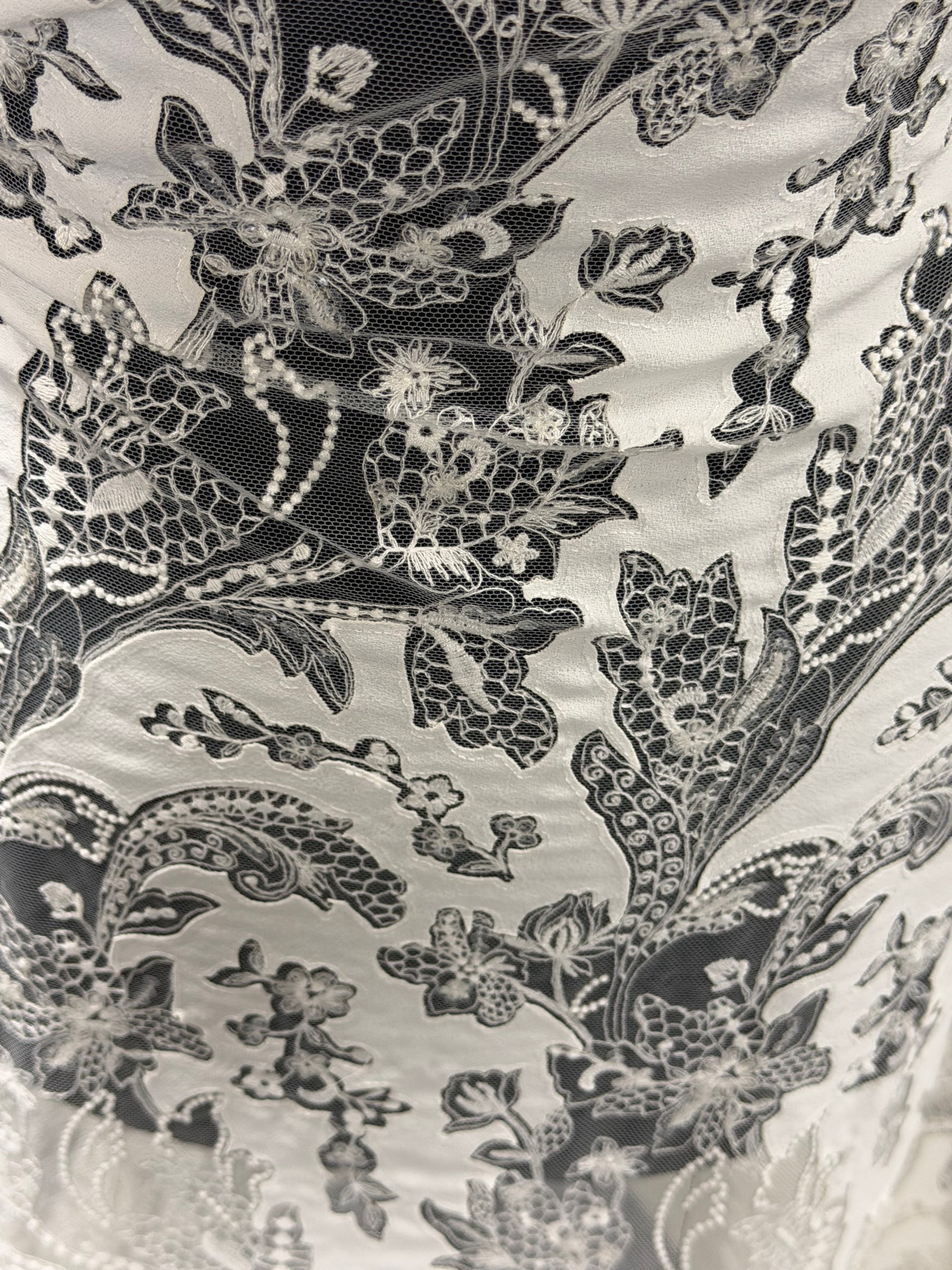 Dentelle brodée ornée de tissu ivoire - EB3039