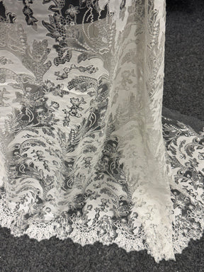 Dentelle brodée ornée de tissu ivoire - EB3039