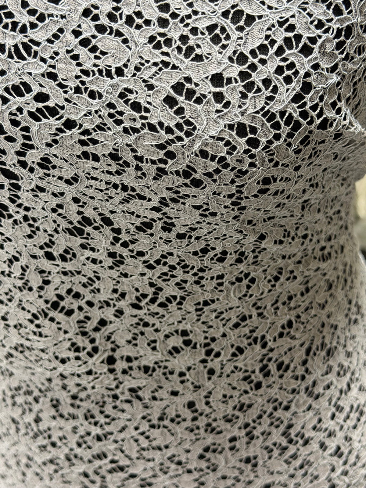 Dentelle française avec cordon argenté - LA4005