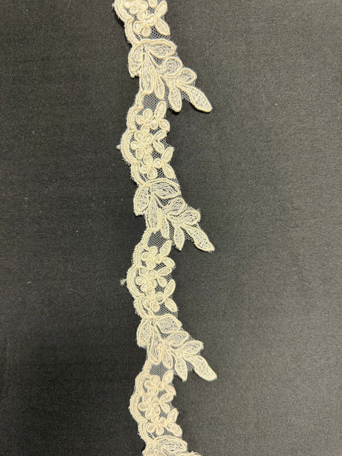 Bordure en dentelle cordée ivoire - T58
