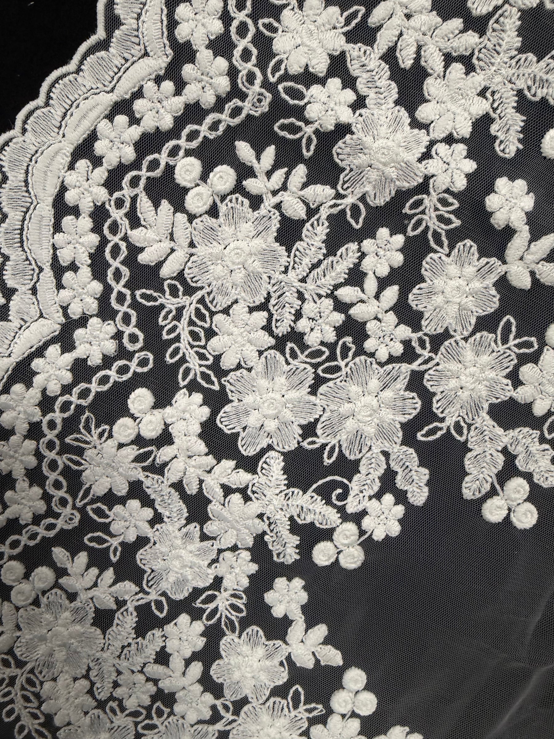 Passementerie en dentelle cordée ivoire clair - T982