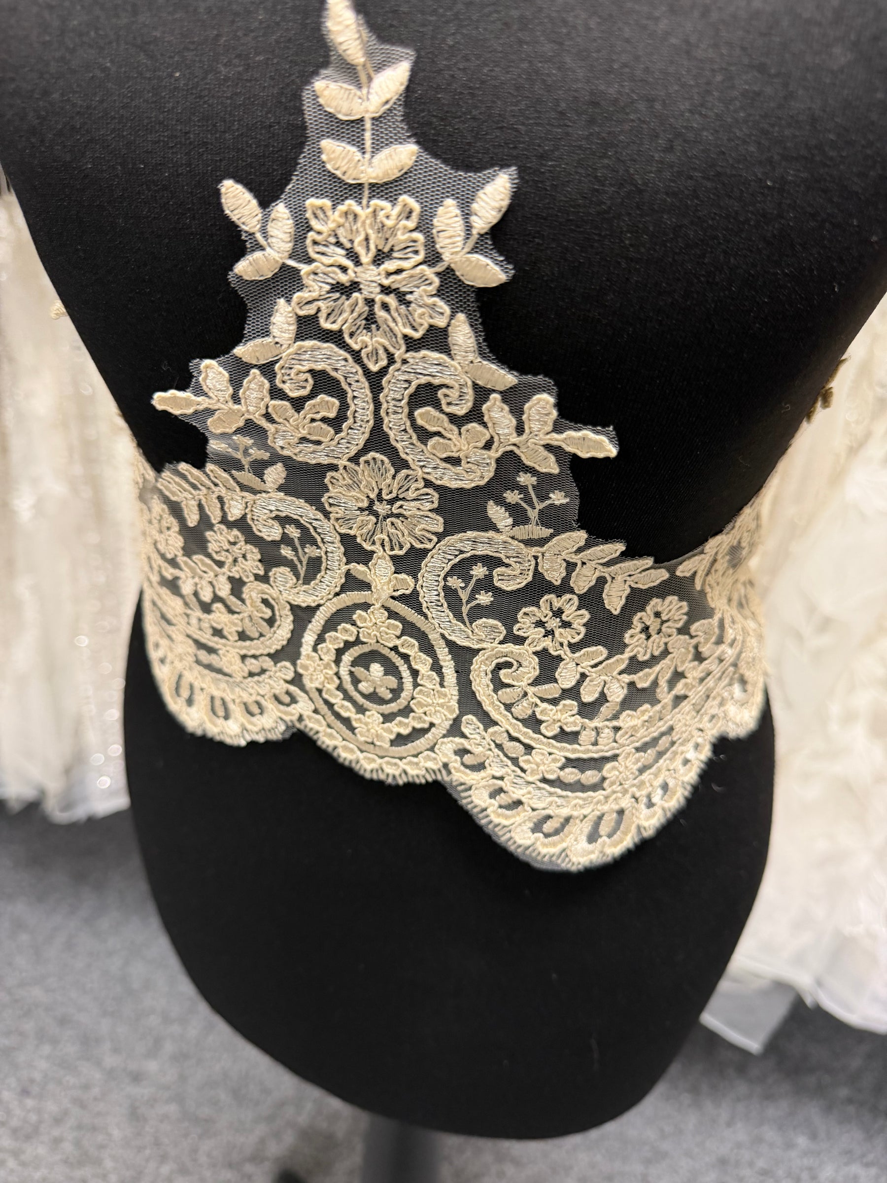 Galon de dentelle cordonnée couleur champagne - T623