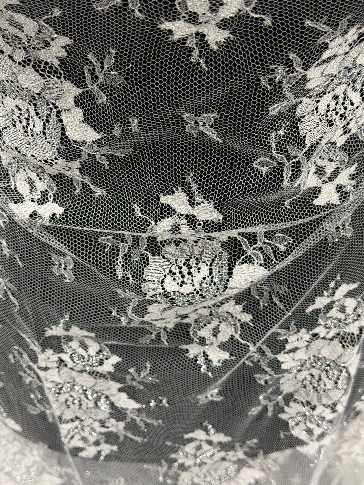 Dentelle Chantilly Ivoire & Argentée - P186