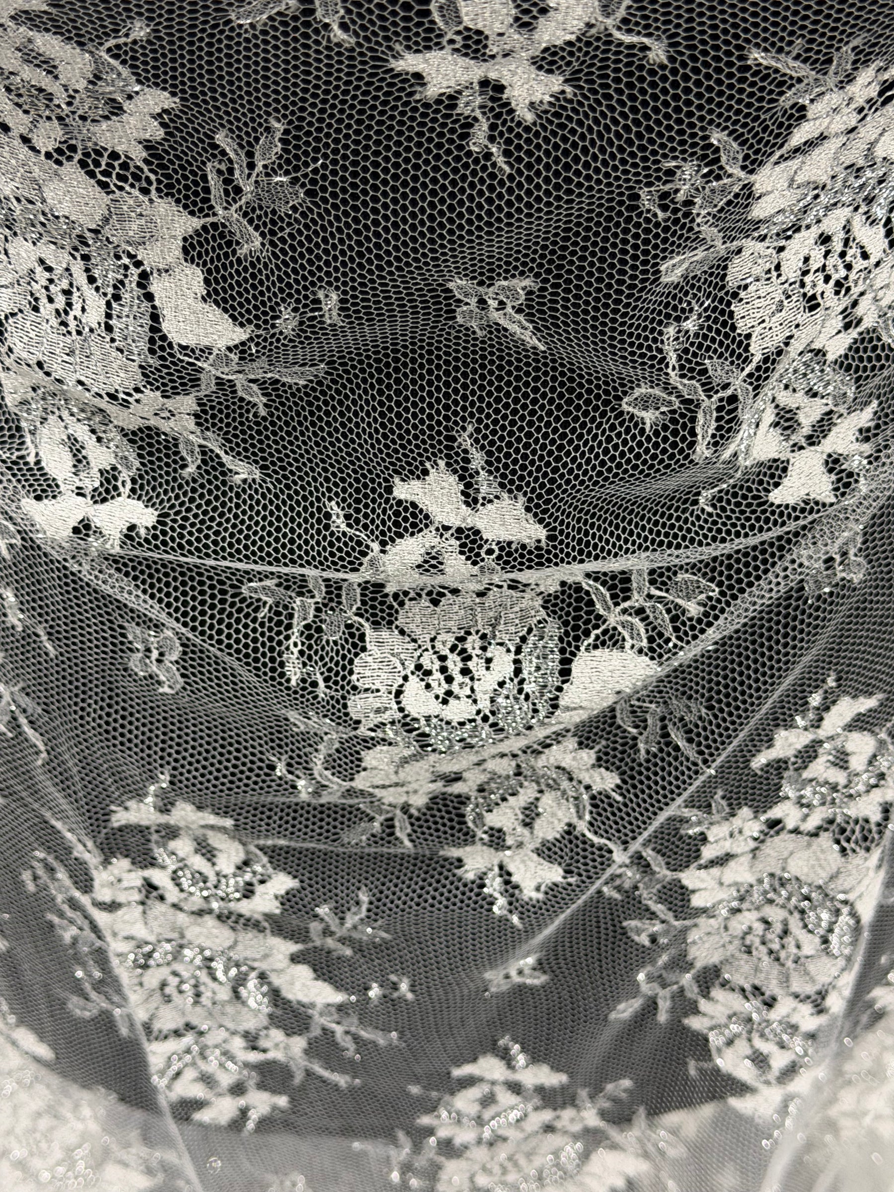 Dentelle Chantilly Ivoire & Argentée - P186